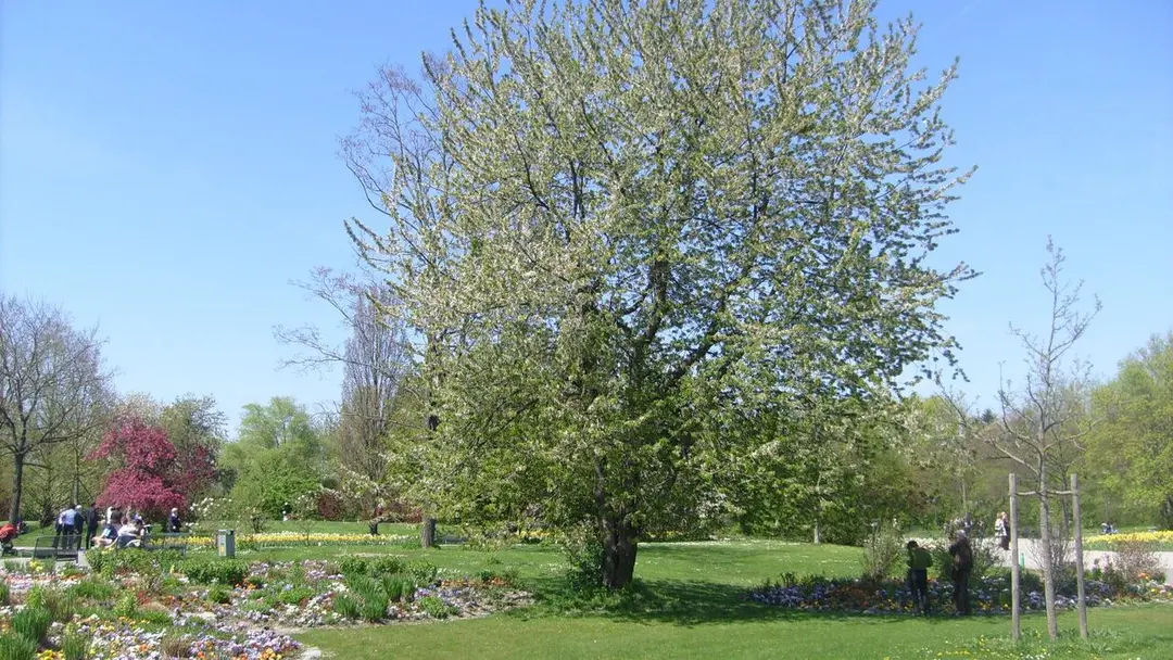 Ostpark