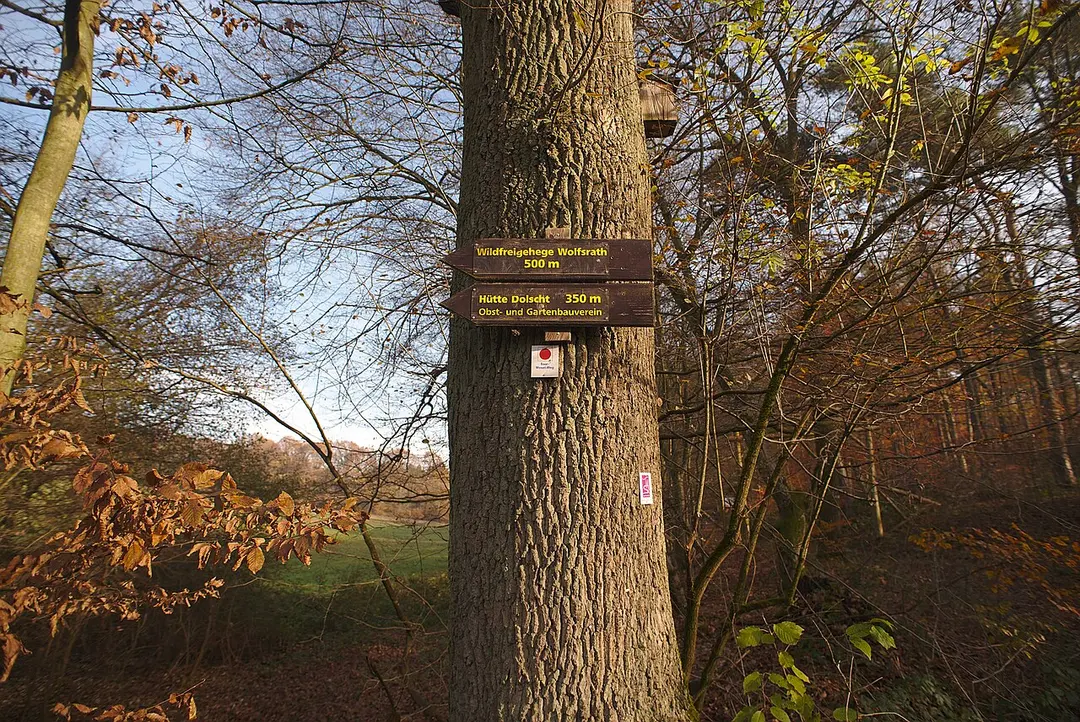 Wildfreigehege Wolfsrath