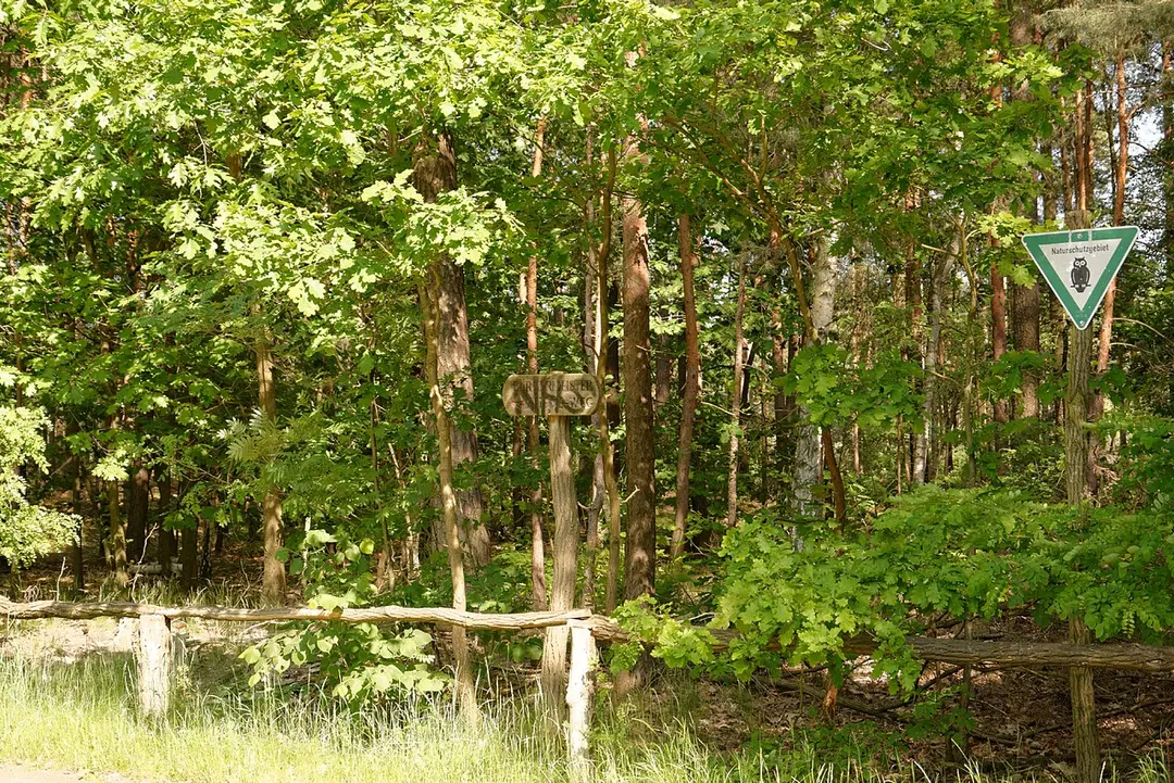 Großes Fenn