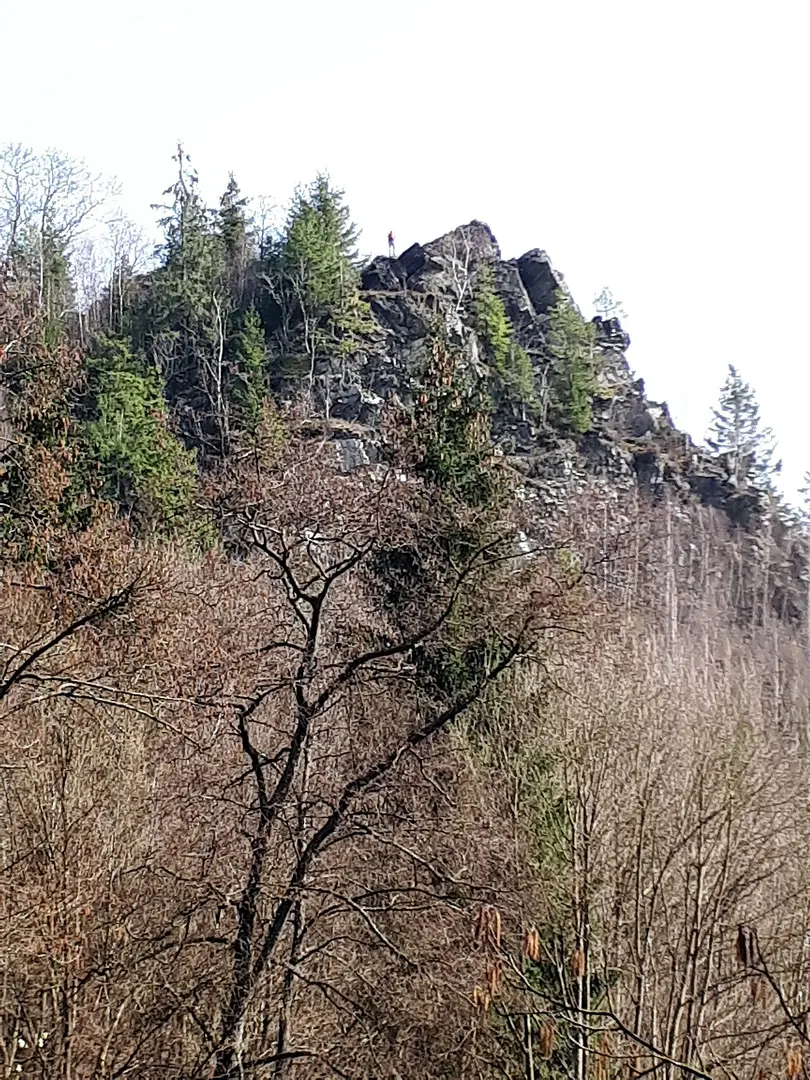 Ehrensteinsley