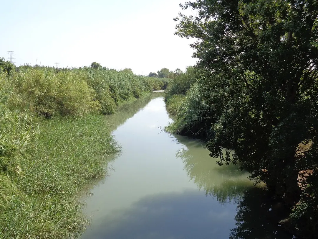 Parc Natural del Túria