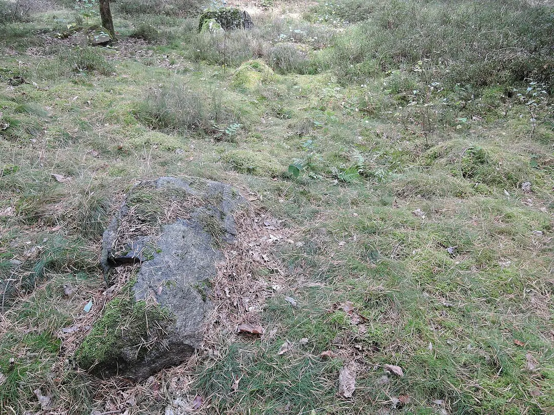 Großsteingrab Reinstorf