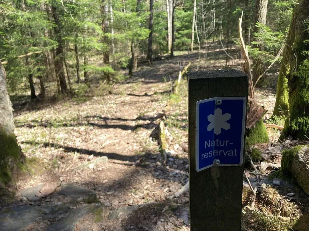 Bråtaskogens naturreservat
