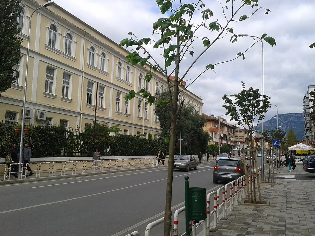 Madrasa of Tirana