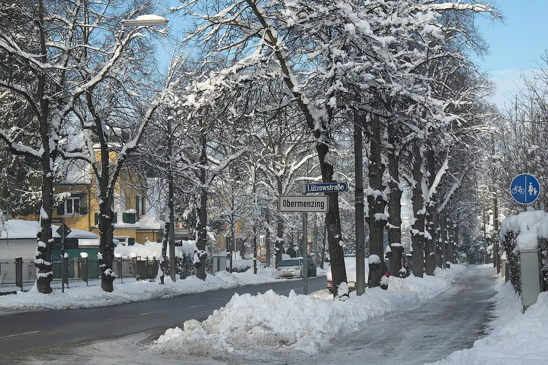 Alte Allee