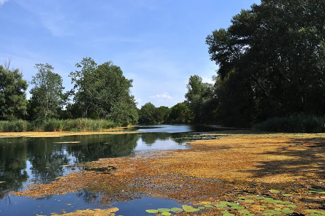 Schillerwasser