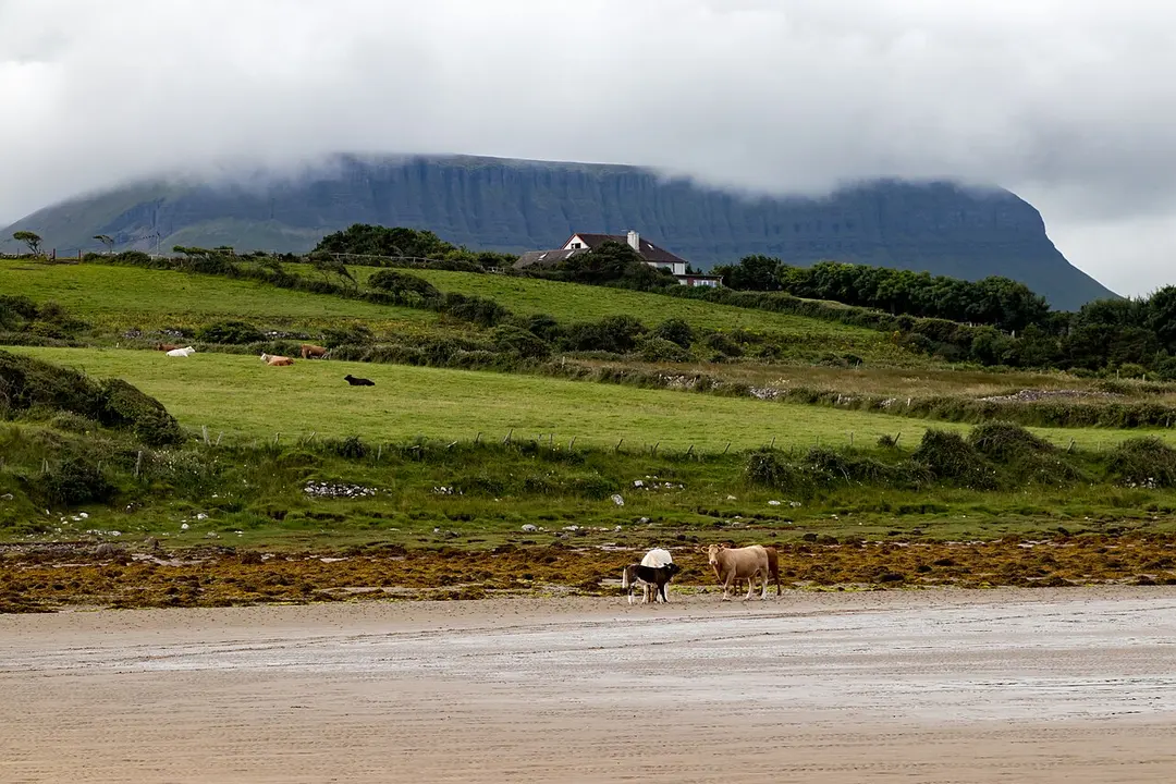 Benbulbin