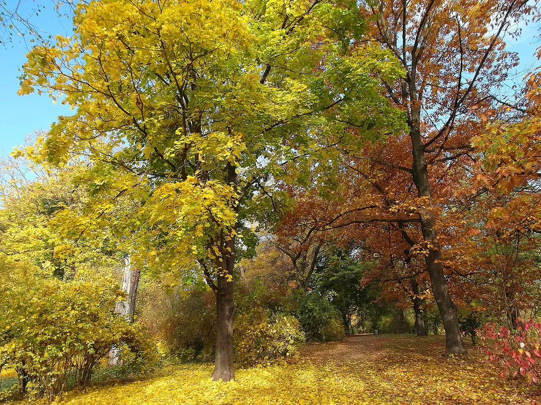 Beutlerpark