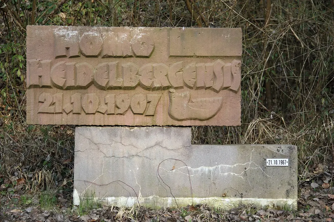 Sandgrube am Grafenrain