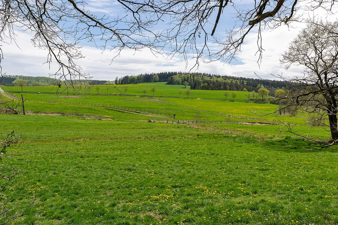 Nettetal