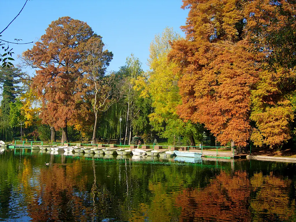 Cișmigiu-See