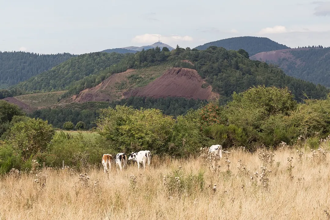 Puy de la Toupe