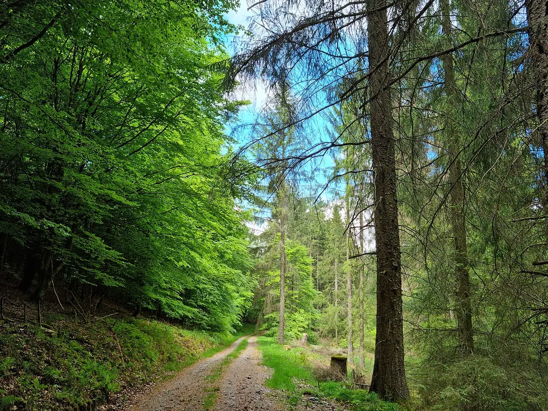Elpe- und Bremecketal