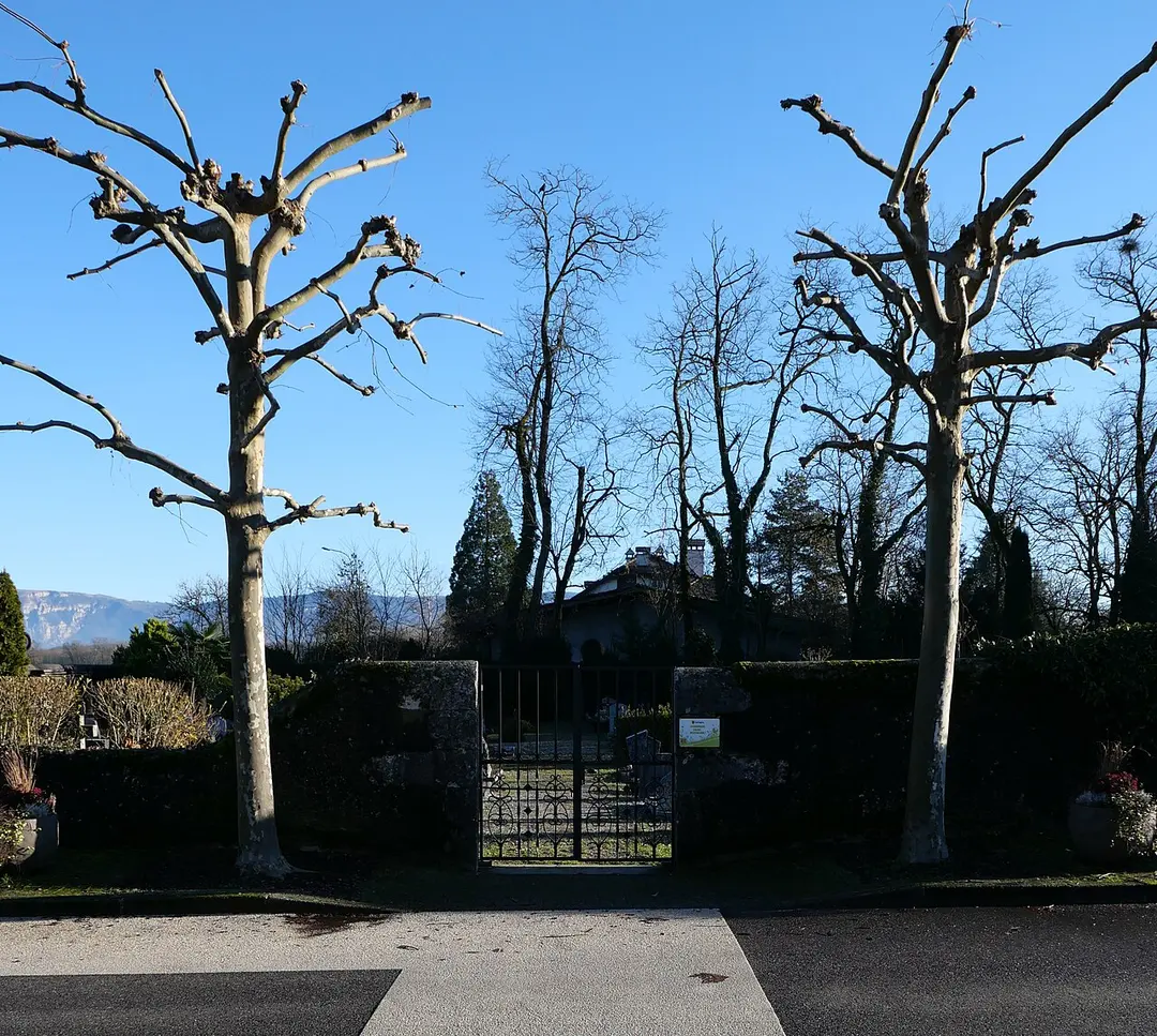 Friedhof von Cartigny