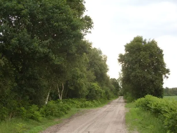 Ahrensdorfer Moor