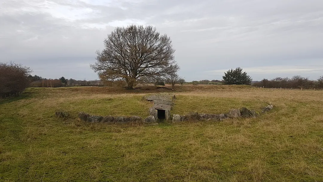 Vedsted Stordysse