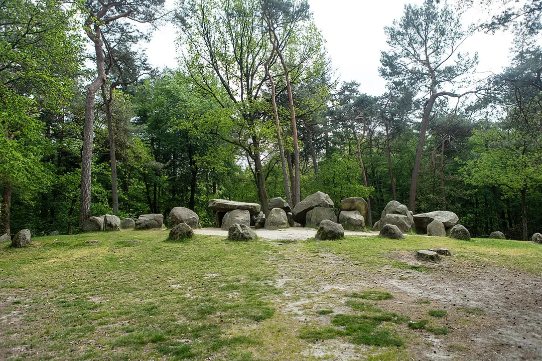 D45