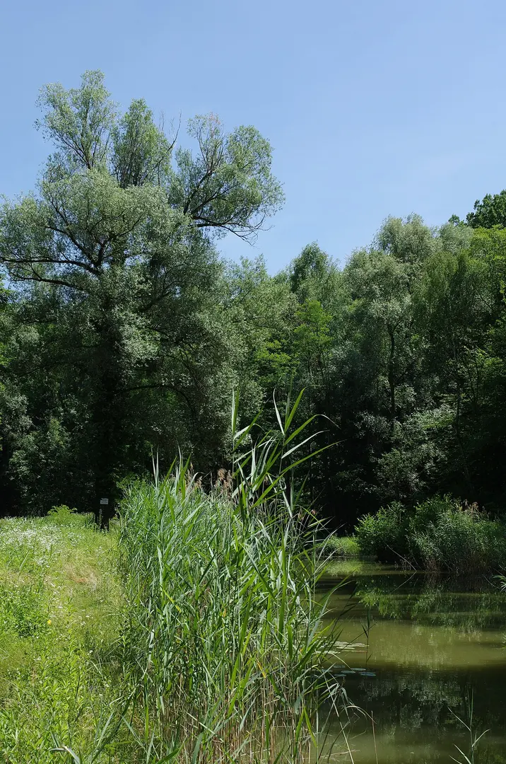 Markbach und Jagdhäuser Wald