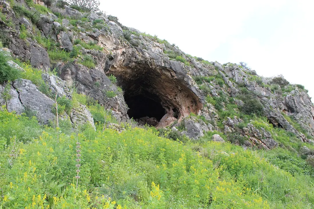 Raqefet Cave