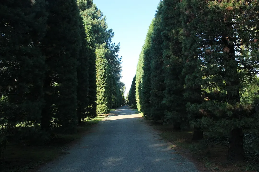 Bispebjerg Kirkegård
