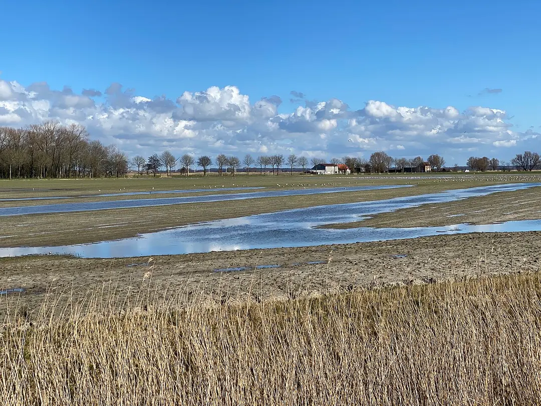 Historischer Steinkreis
