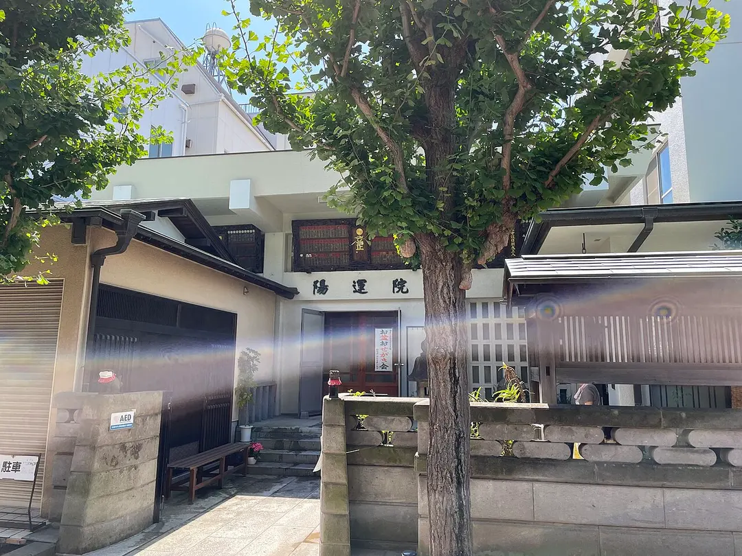 陽運院