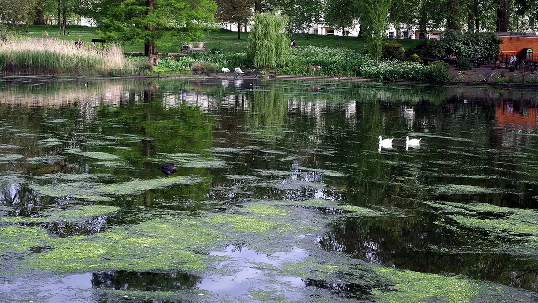 St James's Park