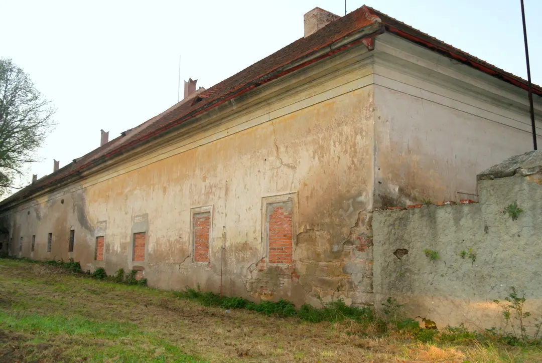 Budenice