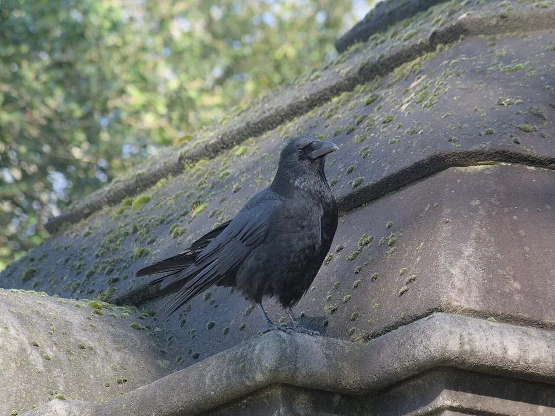 Père Lachaise Cemetery