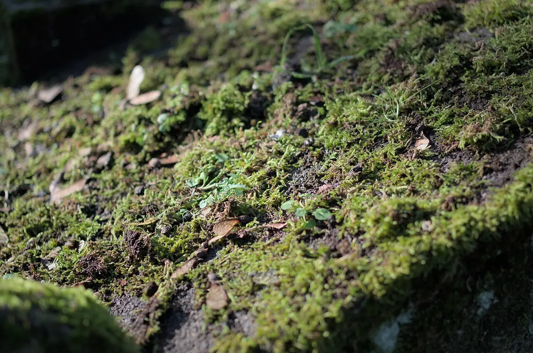 Père Lachaise Cemetery