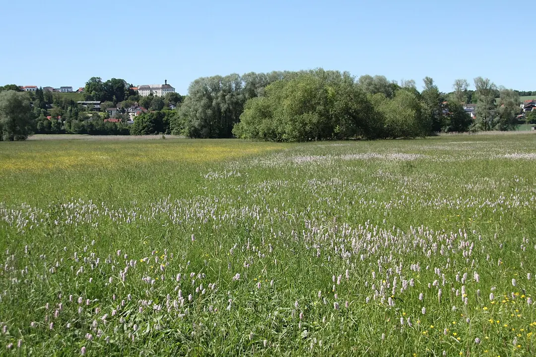 Vilstal bei Marklkofen