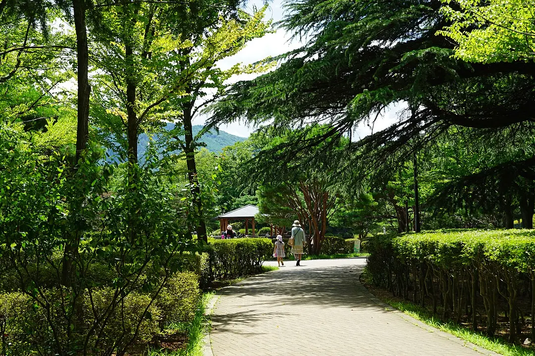 Agata no Mori Park