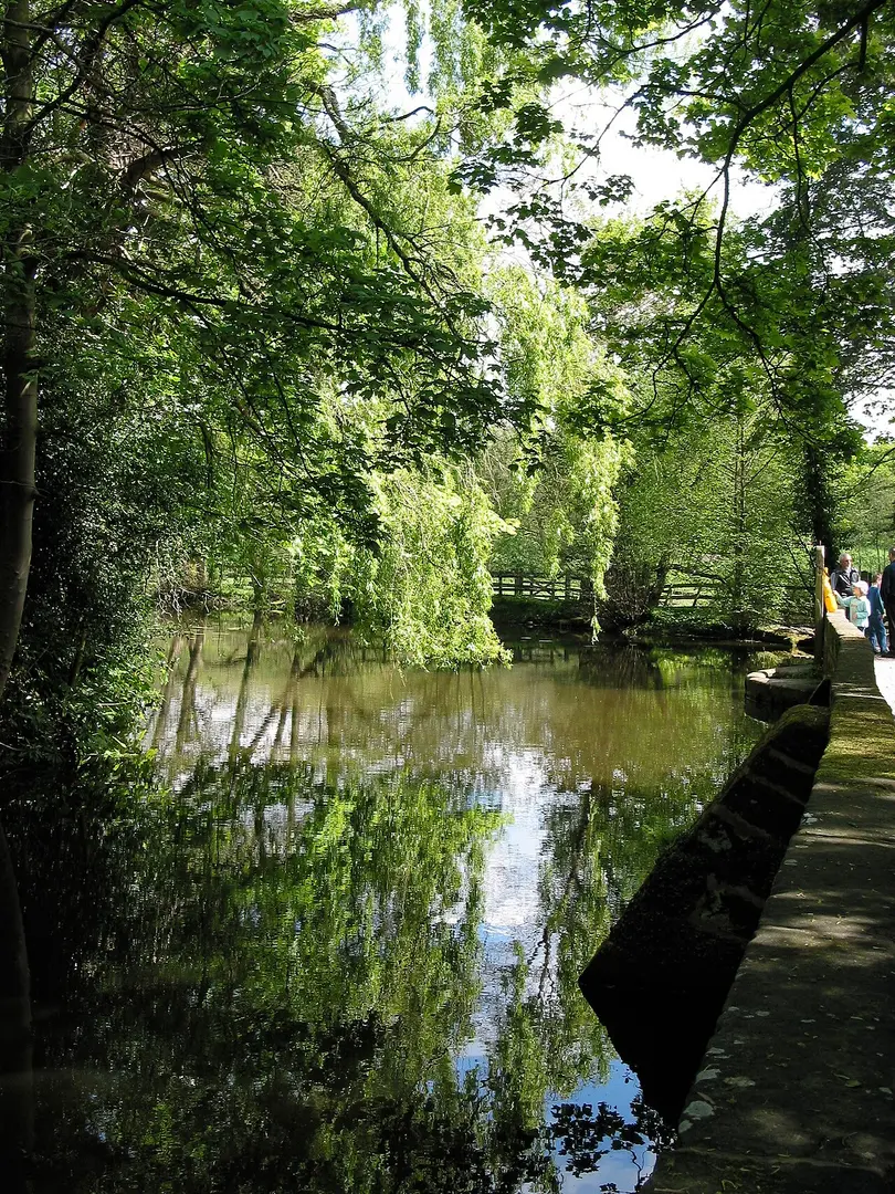 Nether Alderley Mill