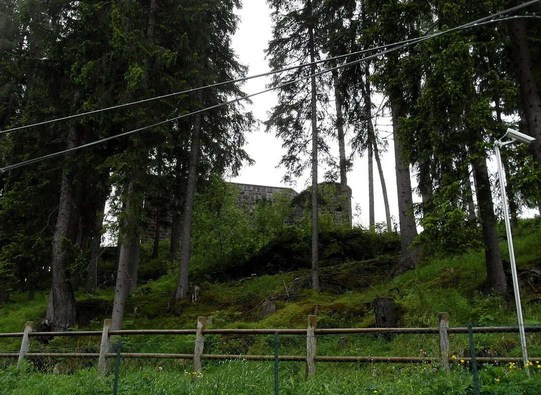 Forte Buso