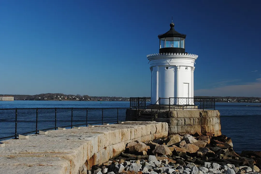 Bug Light