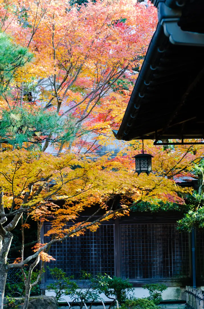 Yoshiki Garden