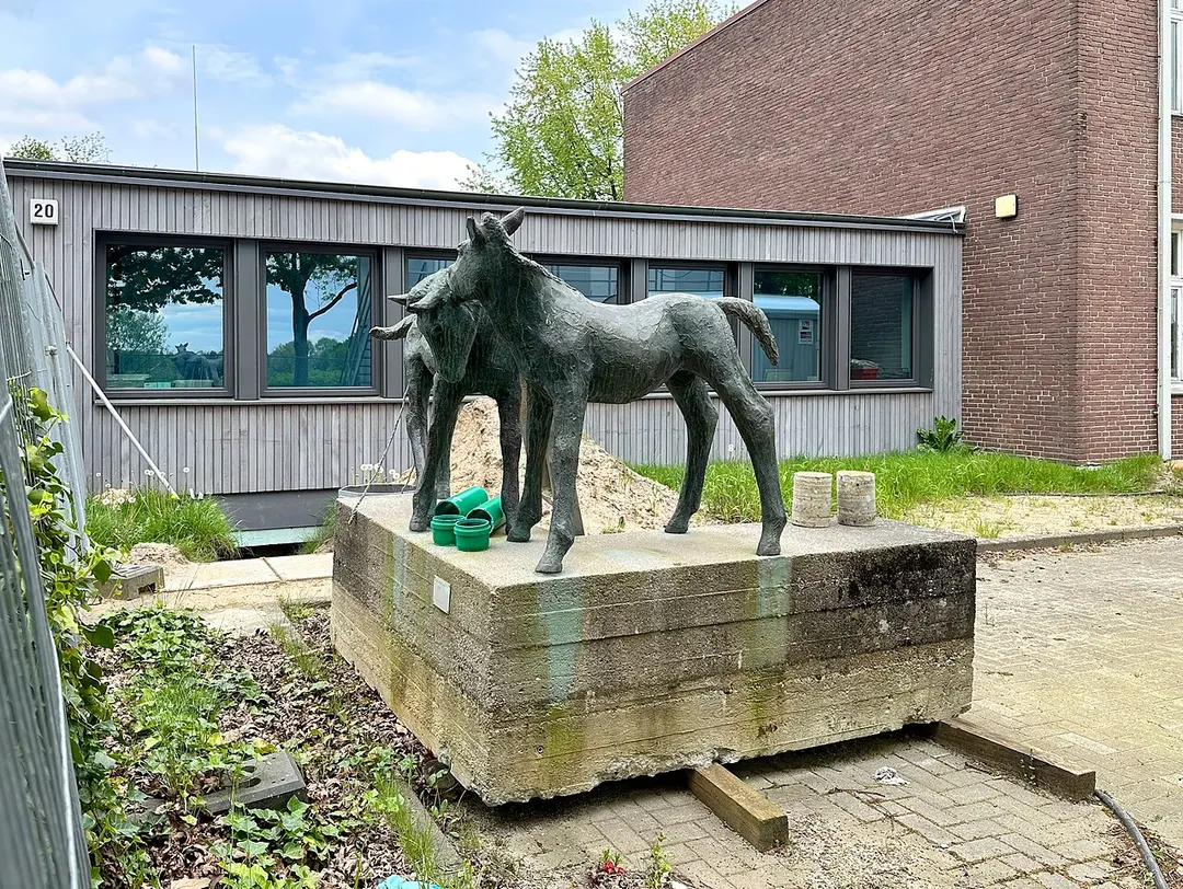Fohlengruppe