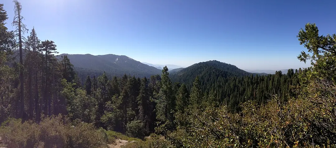 Redwood Mountain Overlook
