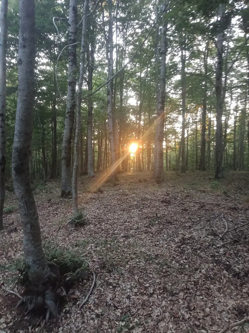 Monte Gariglione