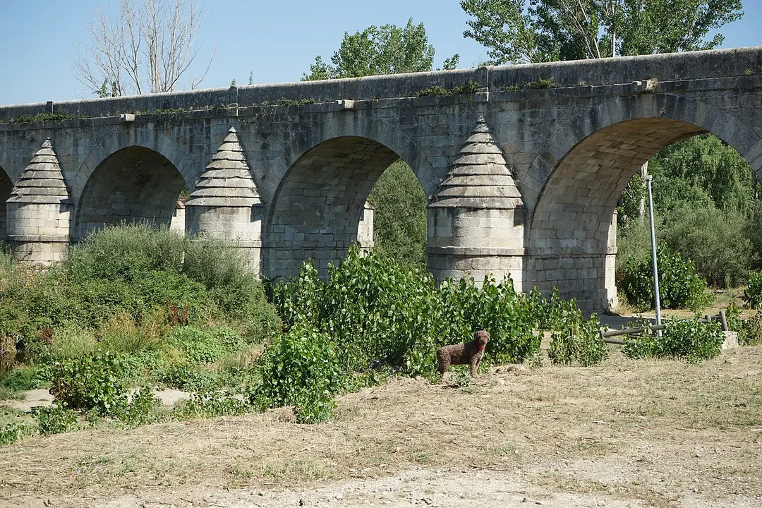 Puente del Retamar