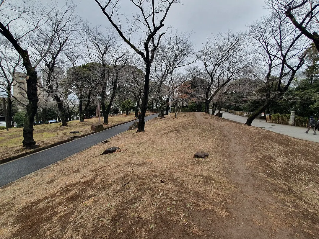 飛鳥山公園