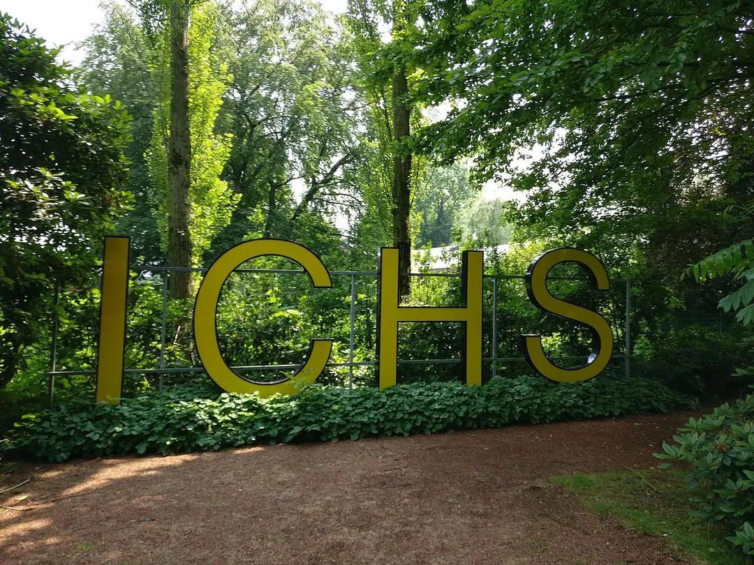 Ichs