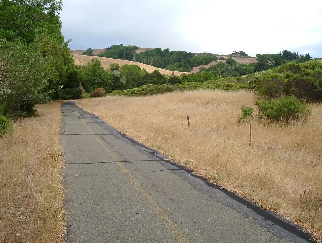Samuel P. Taylor State Park