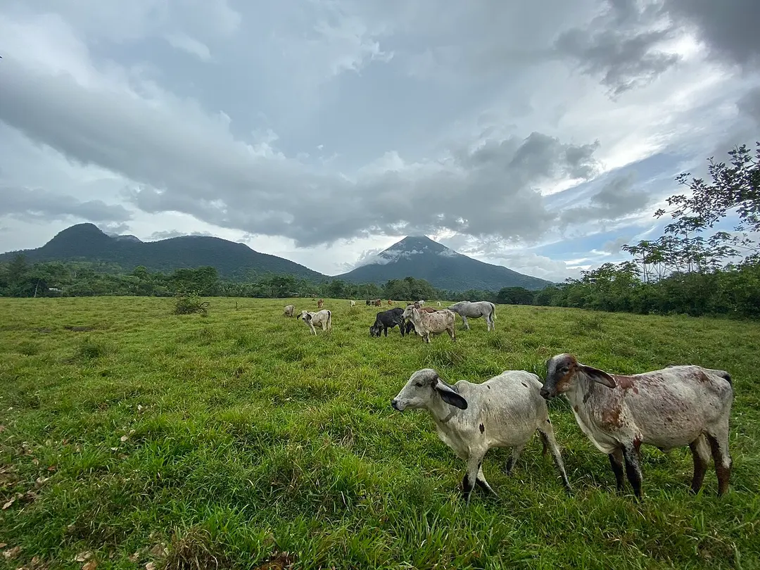 Cerro Chato