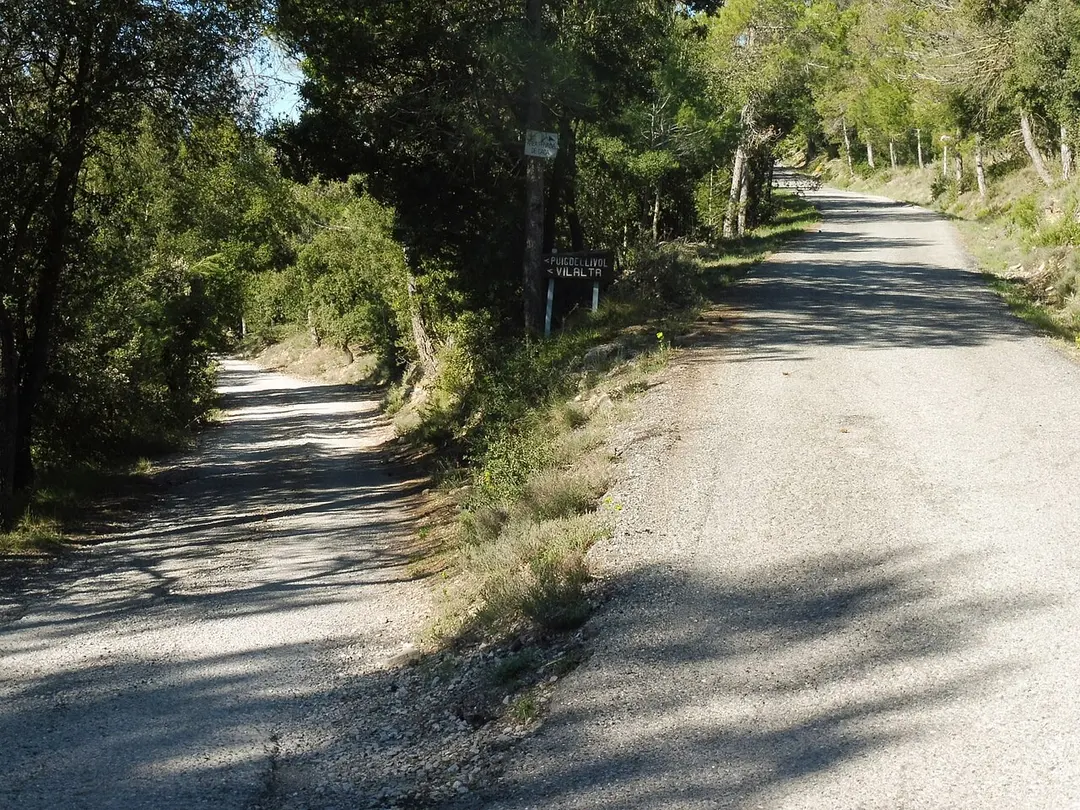 Sant Antoni