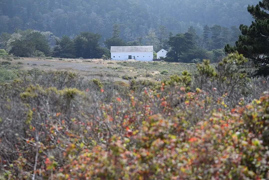 Año Nuevo State Park
