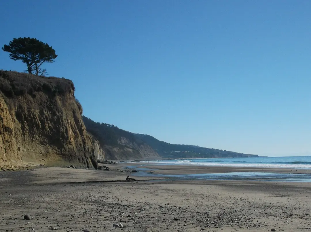 Año Nuevo State Park