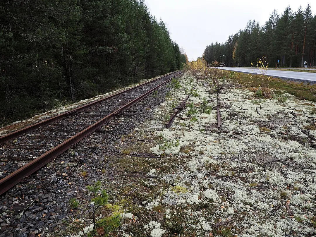 Bakkerud Station