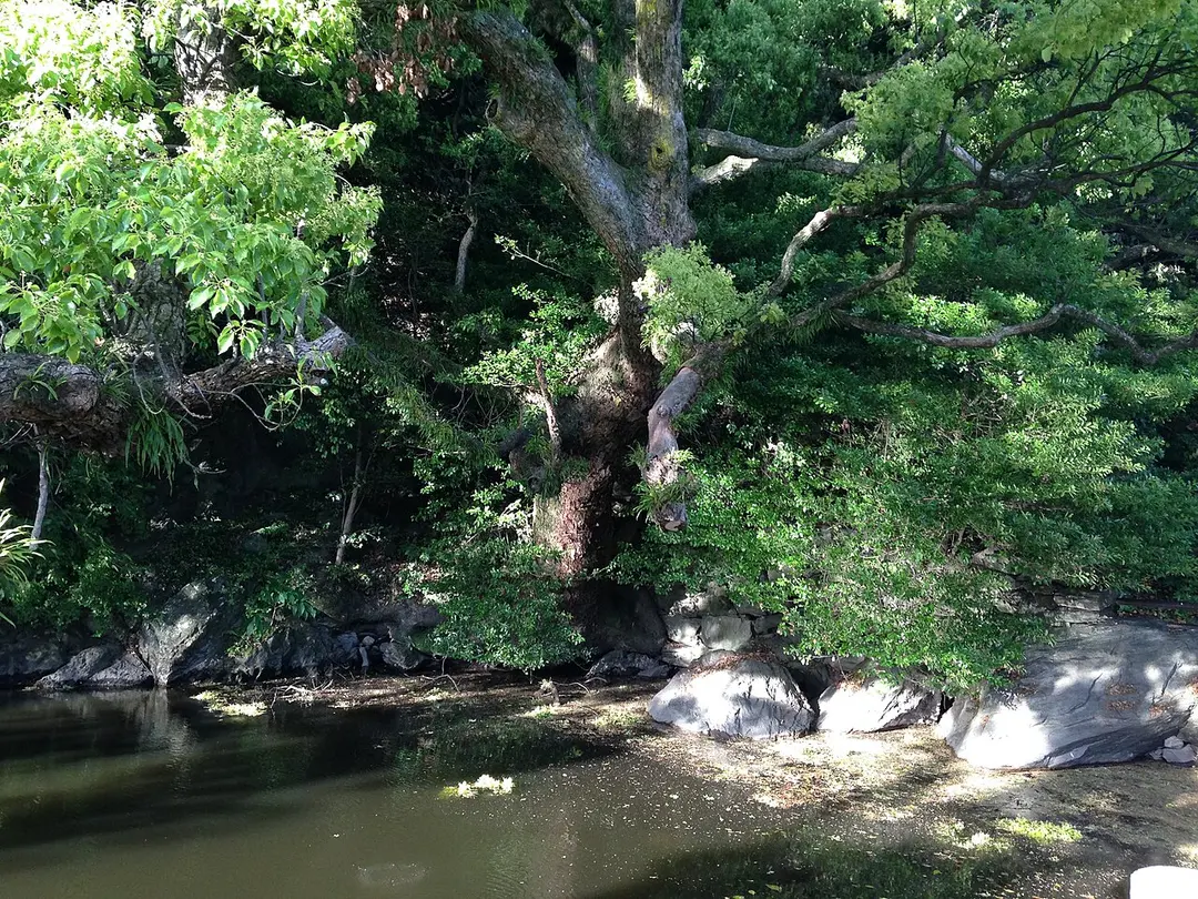 Tokushima Central Park
