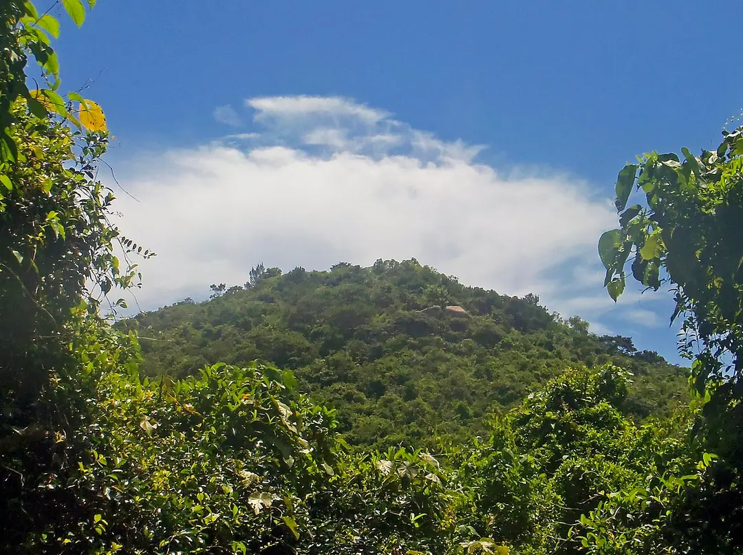 手指山 Finger Hill